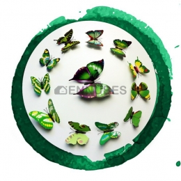 Pegatinas Mariposa Colorida de Pared Tridimensionales