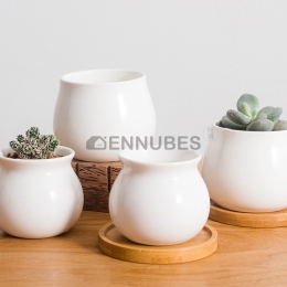 Maceta de Cerámica de Combinación Suculenta Creativa