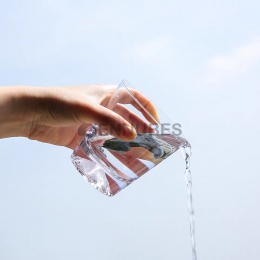 Vasos Bajas Concepto Flores Moderno