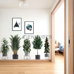 Pegatinas de Estampadas Plantas Verde