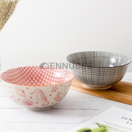 Cuenco de Ramen de Cerámica Japonesa