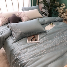 Fonda Nórdica con Estrella